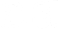 File:Bs-transparentlogo-sml.png