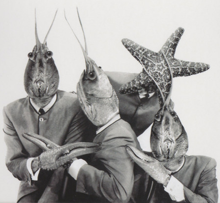File:Mtr-crayfish.png