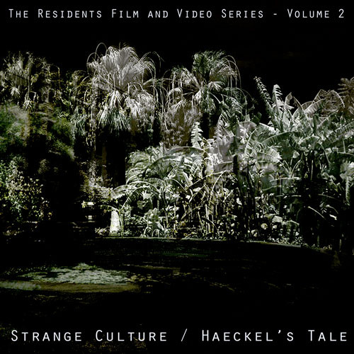 File:Filmandvideoseries2.jpg