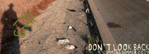 Bog-dontlookback-header.jpg