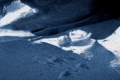 Thumbnail for version as of 09:50, 11 December 2025