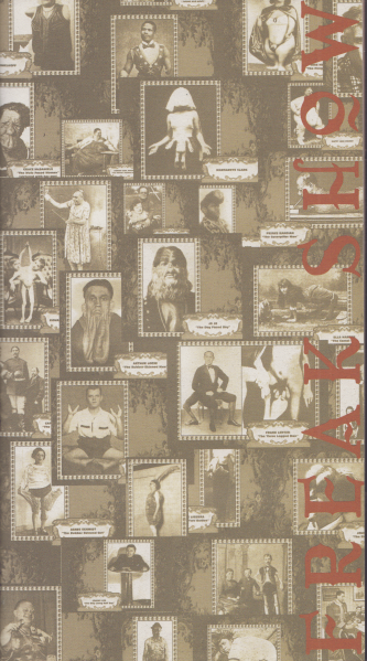 File:FSS 1-min.png