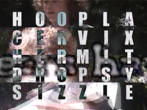 Dimples and Toes COM DVD.png