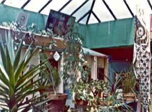 Sycamorest-atrium-and-skylight.jpg