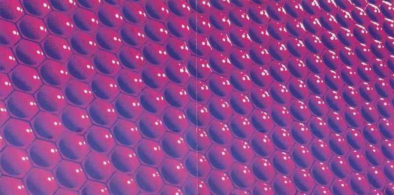File:For Elsie Outer Cover.jpg
