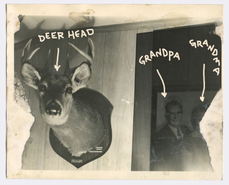 File:Maurice-grandmagrandpadeerhead.jpg